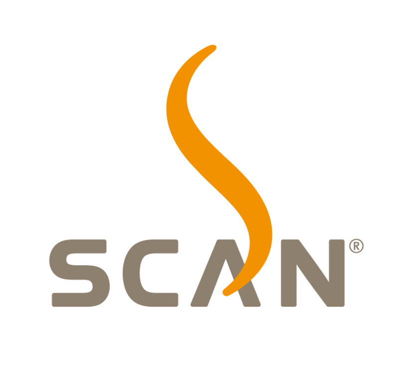 Les poeles à bois SCAN chez FLAMME & creation